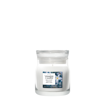 YC Midnight Jasmine Small Jar