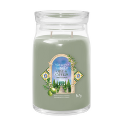 YC Olive & Cypress Signature Large Jar