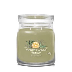 YC Sage & Citrus Signature Medium Jar