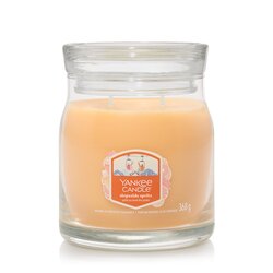 YC Slopeside Spritz Signature Medium Jar