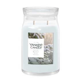 YC Snow Kissed Pine Large Jar