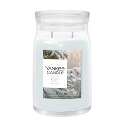 YC Snow Kissed Pine Large Jar