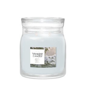 YC Snow Kissed Pine Medium Jar