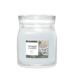 YC Snow Kissed Pine Medium Jar
