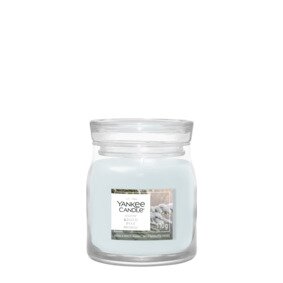 YC  Snow Kissed Pine Small Jar